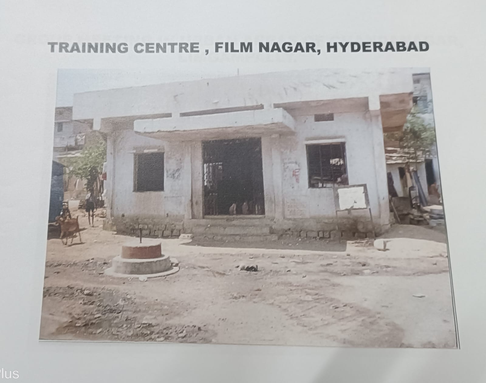 Community Activity 5